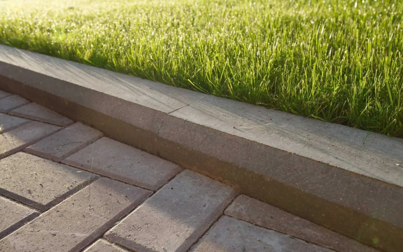 Close-up view of a concrete curb, expertly crafted by Reno Concrete Solutions, separating a paved walkway from a lush green lawn. Sunlight illuminates the grass, casting shadows on the pavement and curb. The area appears well-maintained and clean.