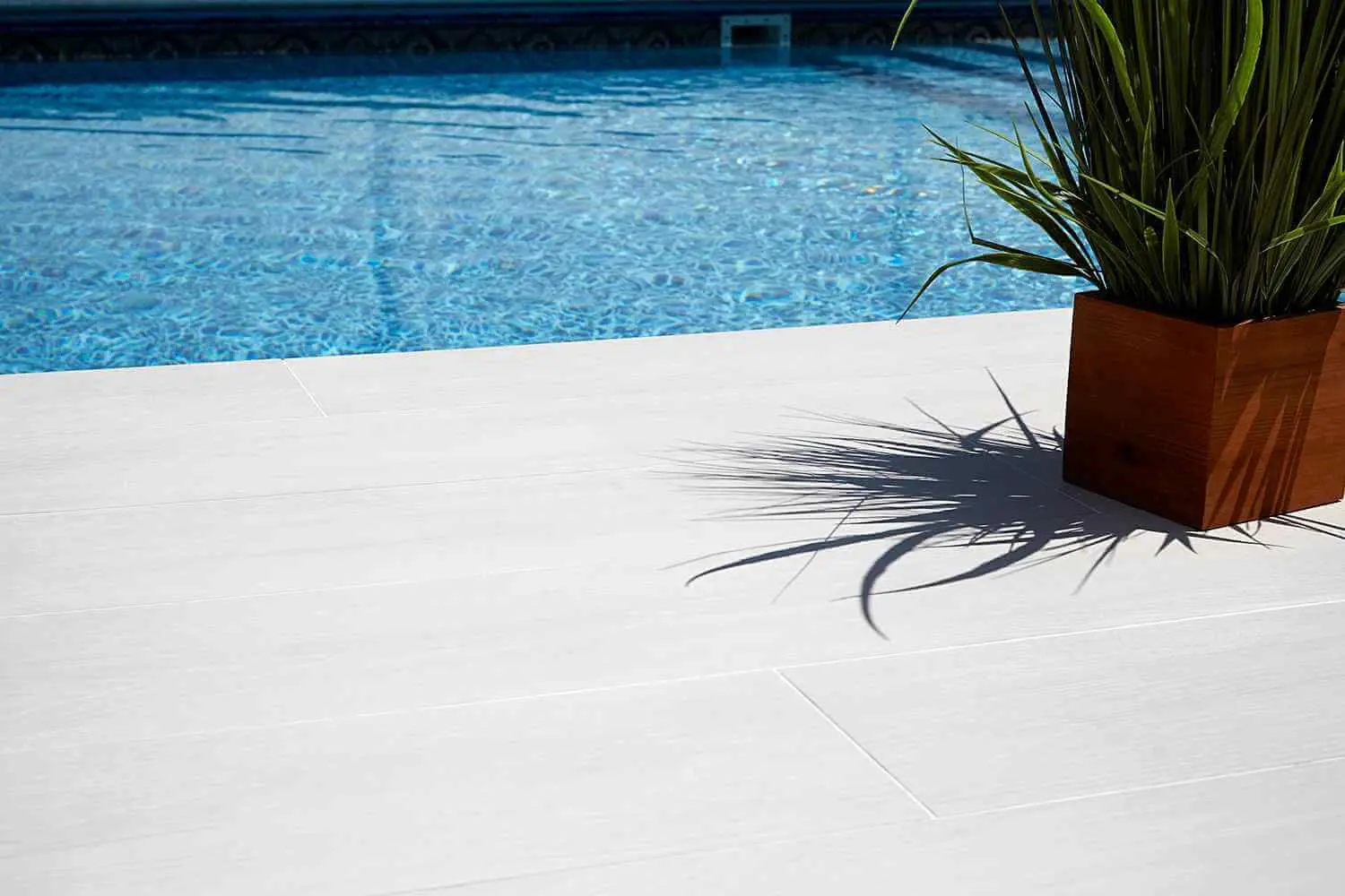 A serene view of a swimming pool with clear blue water. The poolside, designed by Reno Concrete Solutions, features light-colored tiles, and a wooden planter holding a leafy green plant casts a shadow on the ground, creating an inviting atmosphere.